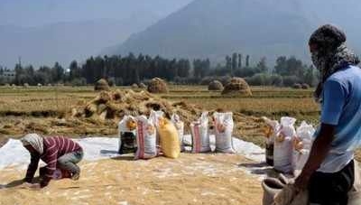HANOI: Vietnam buys Indian rice for first time in decades: Report