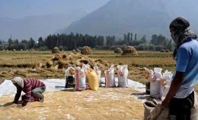 HANOI: Vietnam buys Indian rice for first time in decades: Report