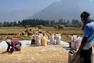 HANOI: Vietnam buys Indian rice for first time in decades: Report