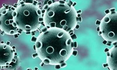 BERLIN: Scientists decode how coronavirus interacts with proteins in human cells