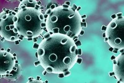 BERLIN: Scientists decode how coronavirus interacts with proteins in human cells