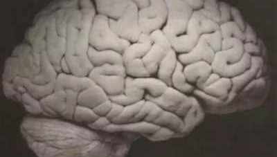 TOKYO: Stronger brain activity after writing on paper than smartphone, finds study