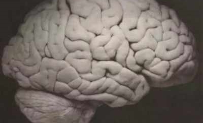 TOKYO: Stronger brain activity after writing on paper than smartphone, finds study