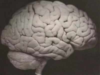 TOKYO: Stronger brain activity after writing on paper than smartphone, finds study