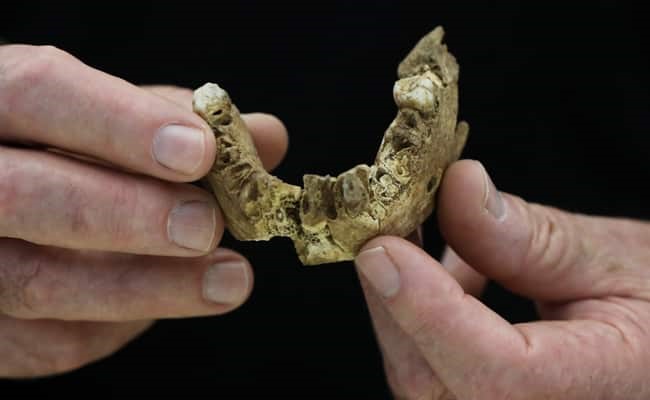 JERUSALEM: “Nesher Ramla Homo”: New Type Of Early Human Found In Israel