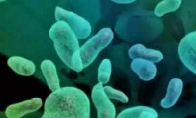 BENGALURU: IISc team finds way to block a superbug transporter