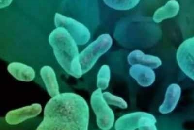 BENGALURU: IISc team finds way to block a superbug transporter
