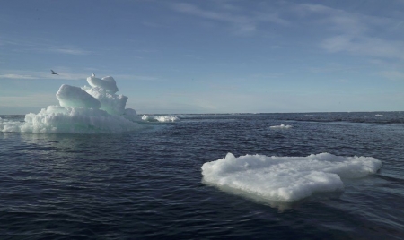 MELBOURNE: Climate change: New report will highlight ‘stark reality’ of warming