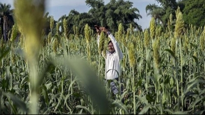 TORONTO: Amazon, Microsoft Swoop In On $24 Billion India Farm-Data Trove