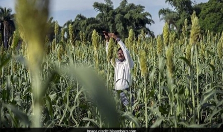 TORONTO: Amazon, Microsoft Swoop In On $24 Billion India Farm-Data Trove