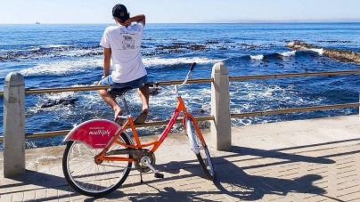 CAPE TOWN: Why even giant ships can’t solve the shipping crisis