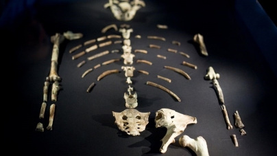 TEXAS: Nasa’s Lucy mission will seek out Solar System ‘fossils’