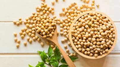 SEOUL: Soybeans- Nutritional value and health benefits of including soybeans in the diet