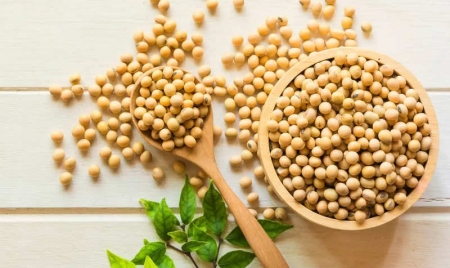 SEOUL: Soybeans- Nutritional value and health benefits of including soybeans in the diet
