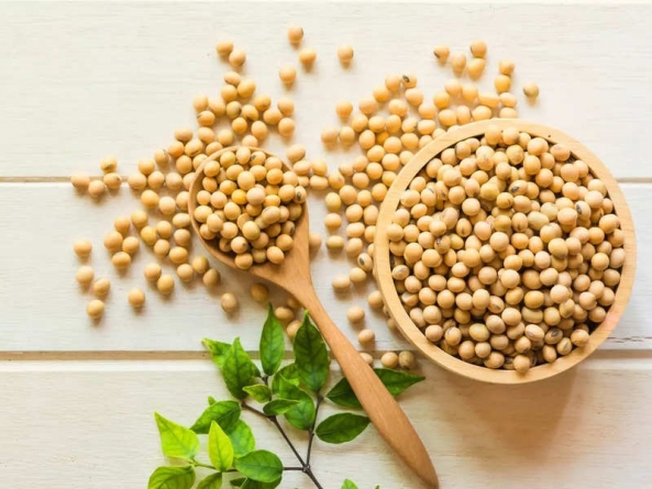 SEOUL: Soybeans- Nutritional value and health benefits of including soybeans in the diet