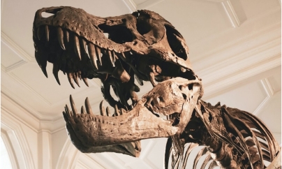 MEXICO CITY : Dinosaur-Killing Asteroid May Have Hit Earth During Spring, Research Suggests