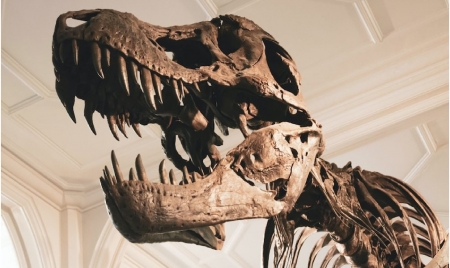 MEXICO CITY : Dinosaur-Killing Asteroid May Have Hit Earth During Spring, Research Suggests