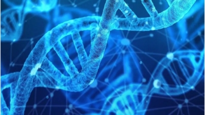 MELBOURNE  : Australian Police Say They Are Using Advanced DNA Technology to Identify Crime Suspects