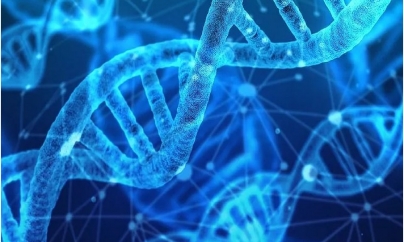 MELBOURNE  : Australian Police Say They Are Using Advanced DNA Technology to Identify Crime Suspects