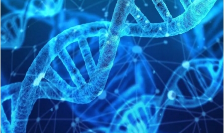MELBOURNE  : Australian Police Say They Are Using Advanced DNA Technology to Identify Crime Suspects