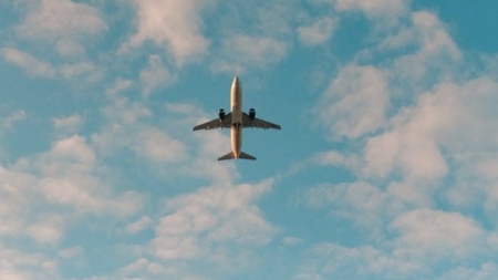 DUBAI: Indian Carpenter Loses Thumb In Dubai, Flies To Delhi On Time For Surgery