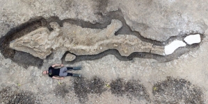 LONDON: Ichthyosaur- Huge fossilised ‘sea dragon’ found in Rutland reservoir
