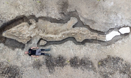 LONDON: Ichthyosaur- Huge fossilised ‘sea dragon’ found in Rutland reservoir