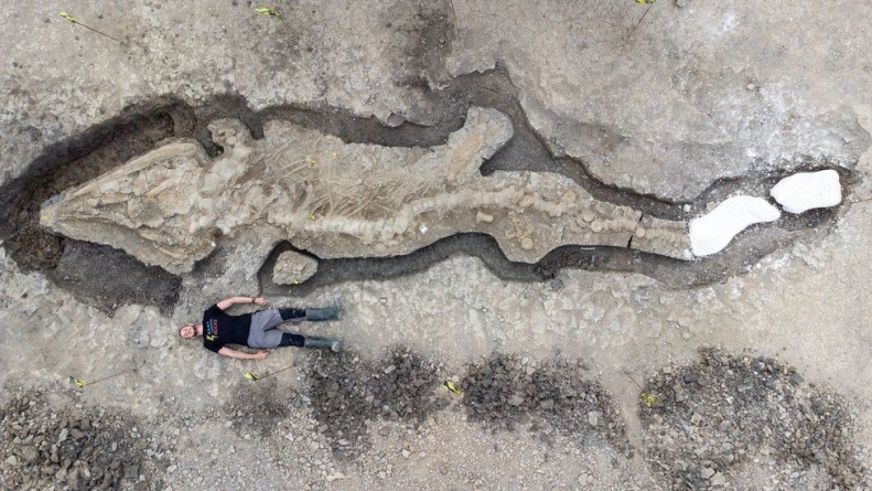 LONDON: Ichthyosaur- Huge fossilised ‘sea dragon’ found in Rutland reservoir