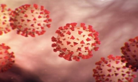 TORONTO: Indian-Origin Scientist Conducts World’s 1st Molecular-Level Analysis Of Omicron