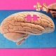 LONDON: How Alzheimer’s Disease and Other Dementias Differ, and How They’re Misunderstood