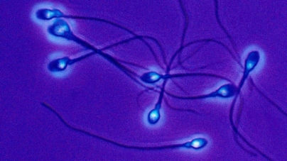 BEIJING: 50 years ago, freezing sperm faced scientific skepticism