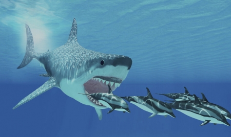 PARIS: Great white sharks may have helped drive megalodons to extinction