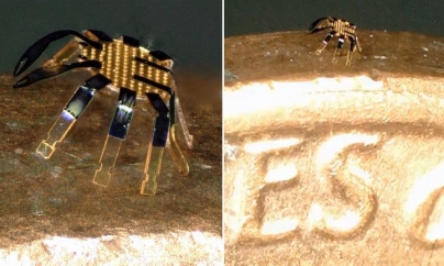 TORONTO: Meet the smallest ever remote-controlled walking robot