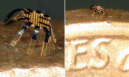 TORONTO: Meet the smallest ever remote-controlled walking robot