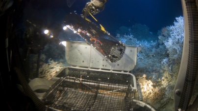 BERLIN : Electric robots are mapping the seafloor, Earth’s last frontier