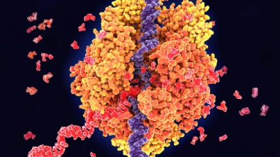 PARIS : 50 years ago, genes eluded electron microscopes