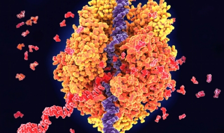 PARIS : 50 years ago, genes eluded electron microscopes