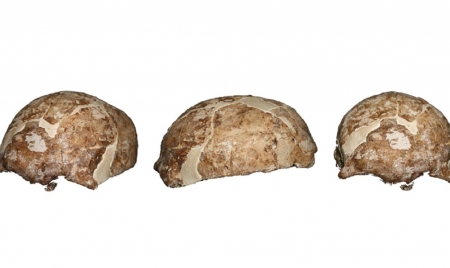 BEIJING : Ancient DNA links an East Asian Homo sapiens woman to early Americans