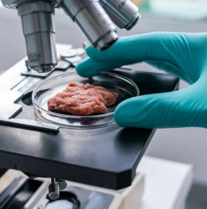 WASHINGTON : Lab-Grown Meat Gets One Step Closer to the Grocery Store After FDA Gives OK