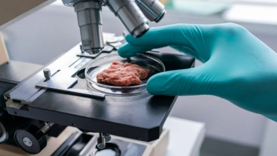 WASHINGTON : Lab-Grown Meat Gets One Step Closer to the Grocery Store After FDA Gives OK