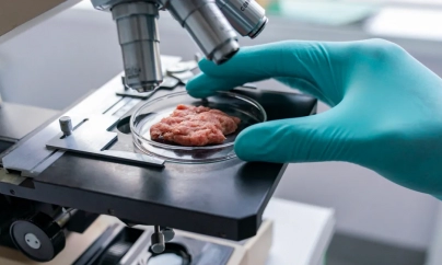 WASHINGTON : Lab-Grown Meat Gets One Step Closer to the Grocery Store After FDA Gives OK