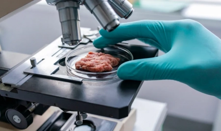 WASHINGTON : Lab-Grown Meat Gets One Step Closer to the Grocery Store After FDA Gives OK
