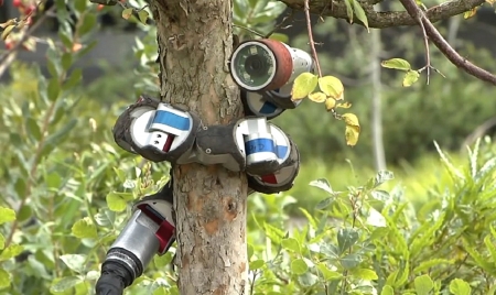 LONDON : Biophysicist Explains What We Can Learn by Making Animal Robots