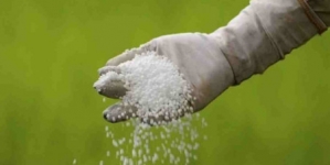 MOSCOW : Discounts lift Russia’s fertilizer exports, becomes top supplier to India