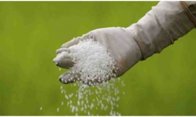 MOSCOW : Discounts lift Russia’s fertilizer exports, becomes top supplier to India