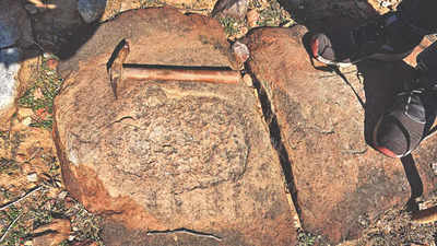 GURUGRAM: Stone-age carvings found in Aravalis in Gurugram